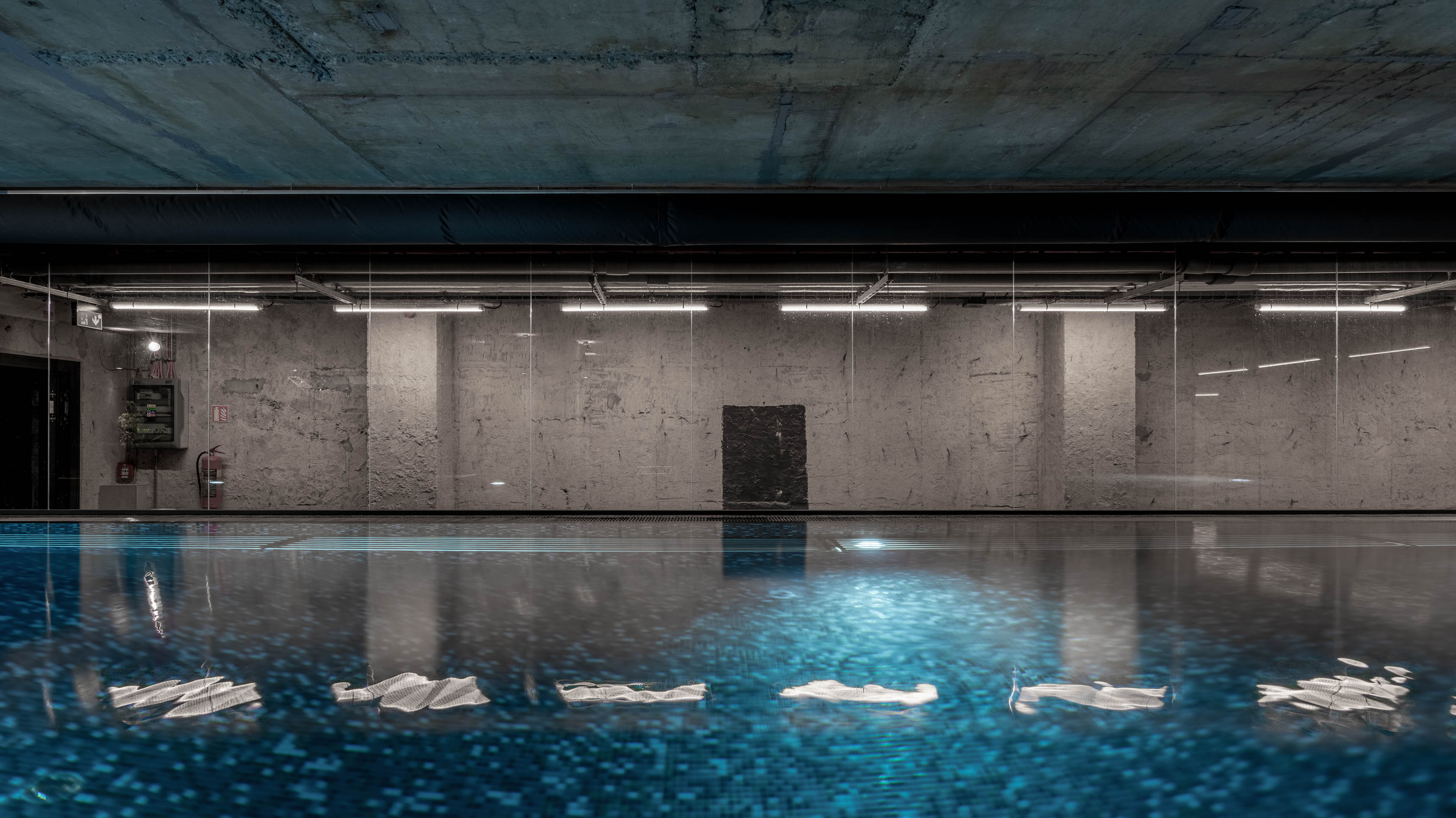 VANGUARD wellness - desktop